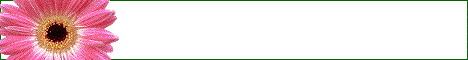 My banner